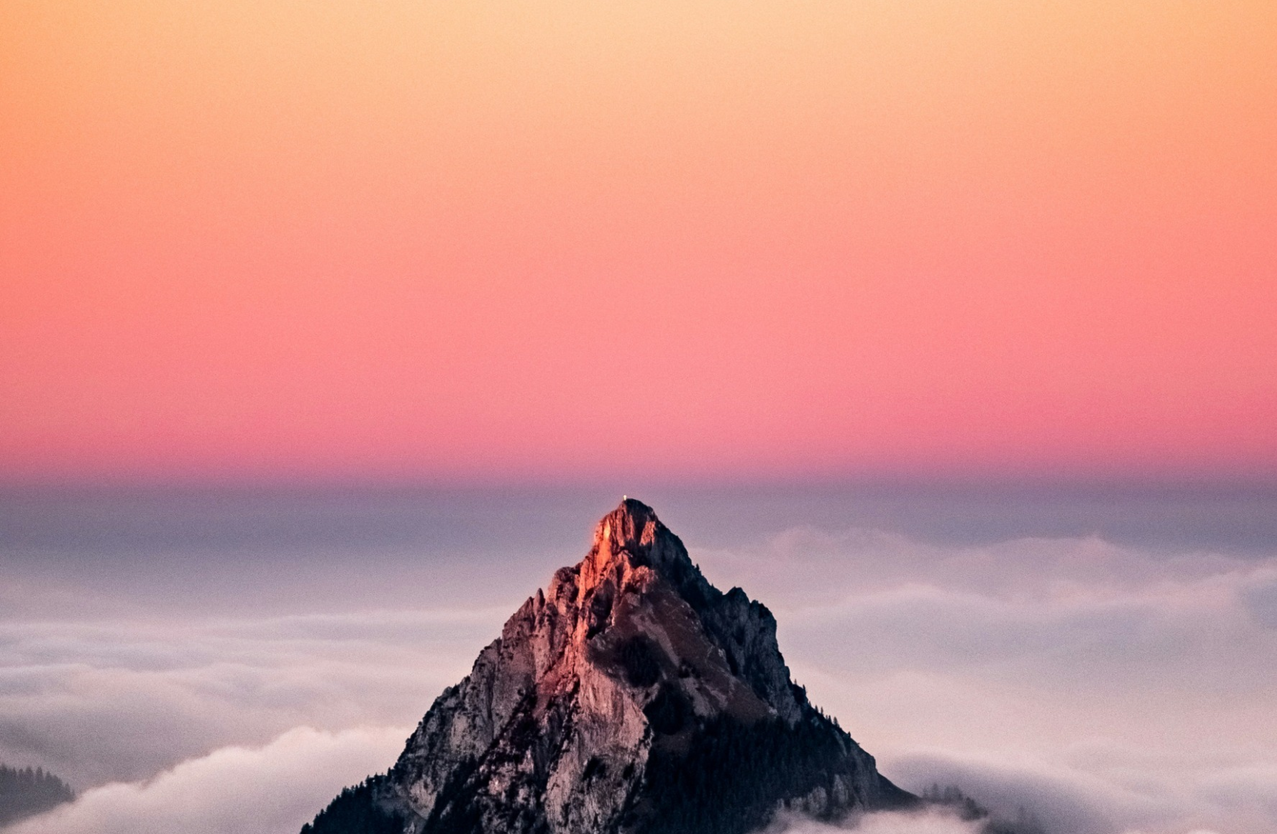 BG